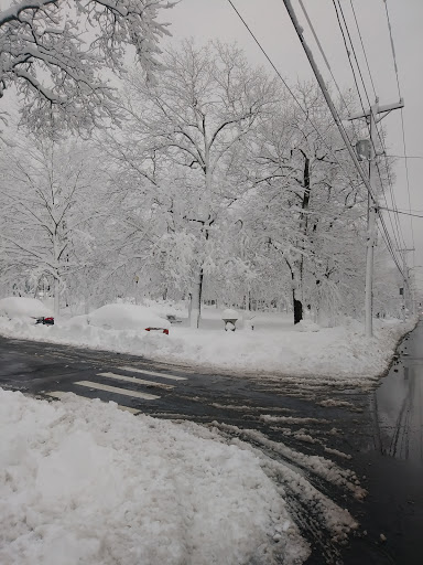 Park «Tyler Park», reviews and photos, 51 Tyler Park, Lowell, MA 01851, USA