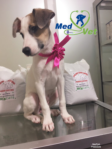 MedVet Mucho lote - Guayaquil