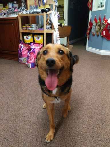 Pet Supply Store «Decadent Dogs», reviews and photos, 206 S River Ave, Holland, MI 49423, USA