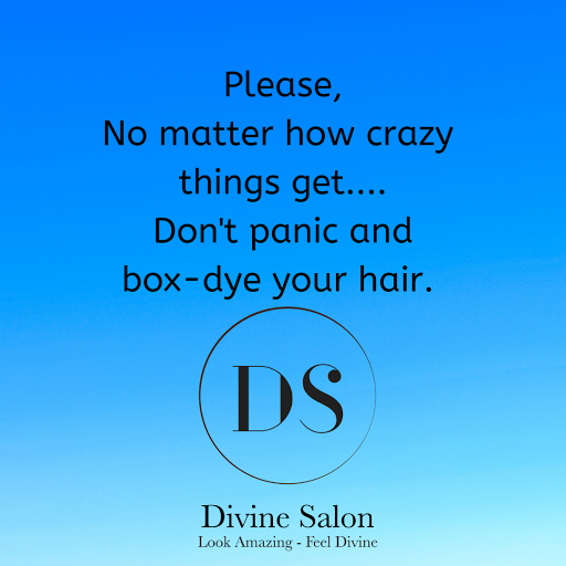 Hair Salon «Divine Salon», reviews and photos, 525 Diffley Rd, Eagan, MN 55123, USA