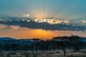 Umdende Safaris image