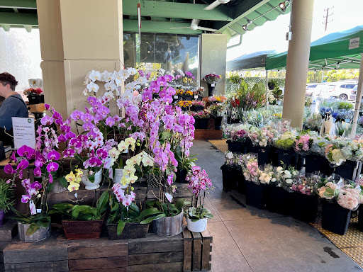 Grocery Store «Whole Foods Market», reviews and photos, 331 N Glendale Ave, Glendale, CA 91206, USA