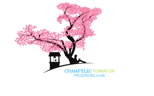 Champ'Elec Formation à Châlons-en-Champagne