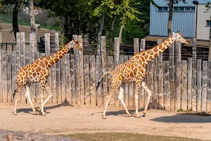 Brno Zoo image