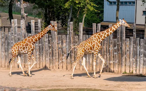 Brno Zoo image