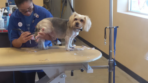 Pet Supply Store «PetSmart», reviews and photos, 540 New York Ave, Lyndhurst, NJ 07071, USA