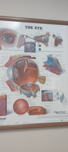 Fogg Remington Eyecare