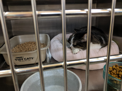 Pet Supply Store «PetSmart», reviews and photos, 5285 Wadsworth Bypass, Arvada, CO 80002, USA