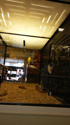 Shopping Mall «Old Town Shopping Center», reviews and photos, 5500 Greenville Ave, Dallas, TX 75206, USA