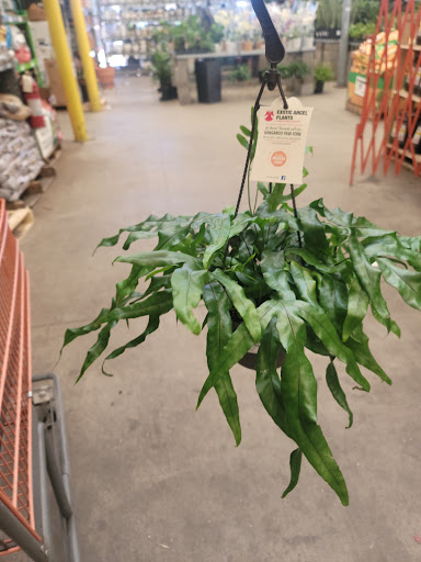 Home Improvement Store «The Home Depot», reviews and photos, 2201 Lakeview Pkwy, Rowlett, TX 75088, USA