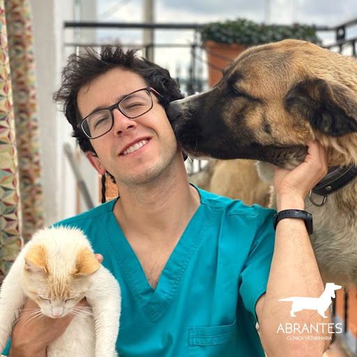 Centro Veterinario Abrantes en Madrid