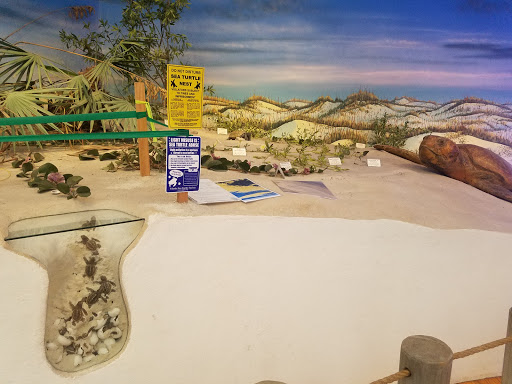 Science Museum «Marine Science Center», reviews and photos, 100 Lighthouse Dr, Ponce Inlet, FL 32127, USA