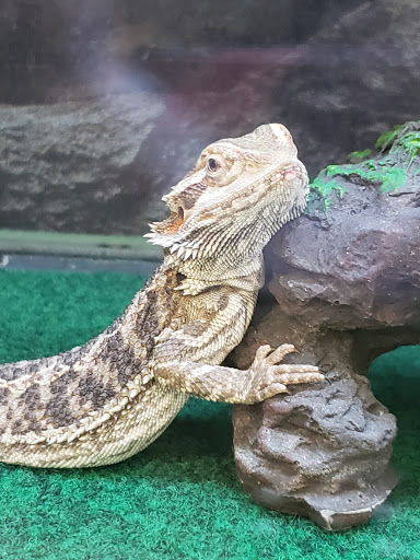 Pet Supply Store «Petco Animal Supplies», reviews and photos, 11639 S Pkwy Plaza Dr, South Jordan, UT 84095, USA