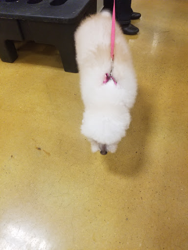 Pet Supply Store «PetSmart», reviews and photos, 1600 N Jackson St #310, Tullahoma, TN 37388, USA