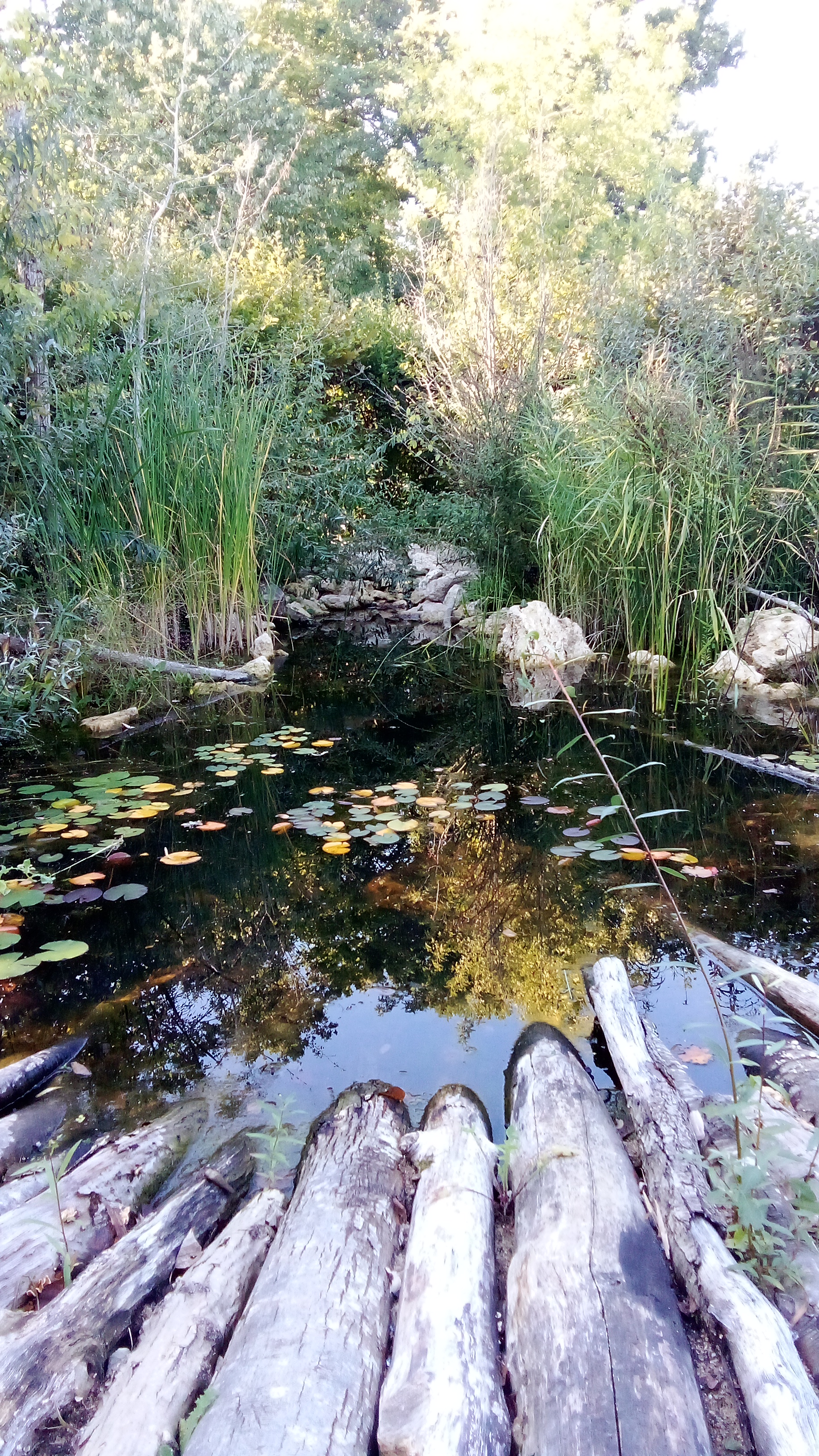 Photo n° 26 de l'avis de moel.o fait le 02/10/2023 à 17:52