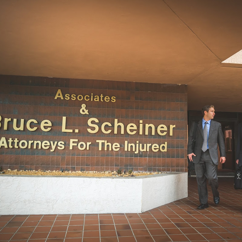 Associates & Bruce L. Scheiner