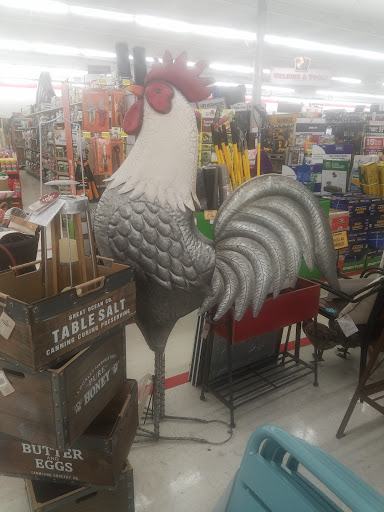 Home Improvement Store «Tractor Supply Co.», reviews and photos, 135 John R Rice Blvd, Murfreesboro, TN 37129, USA