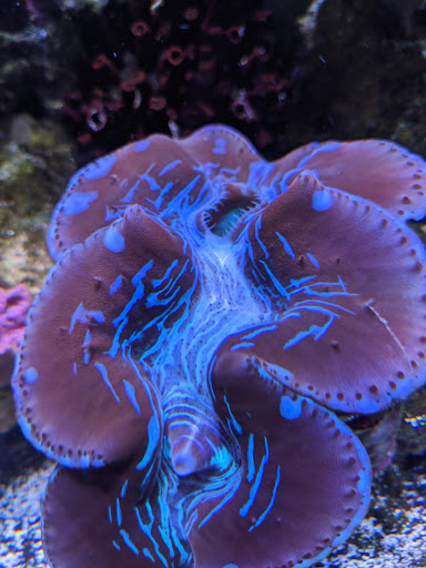 Pet Store «Fish Aquariums & Stuff», reviews and photos, 6112 W Fairview Ave, Boise, ID 83704, USA