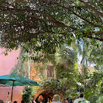 Photo n° 2 de l'avis de Famille.e fait le 08/08/2022 à 11:38 pour Café De La Cueva à Bormes-les-Mimosas