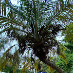 Photo n°3 de l'avis de W.K fait le 22/10/2022 à 13:15 sur le  Casa Risa House & Spa à Mesquita