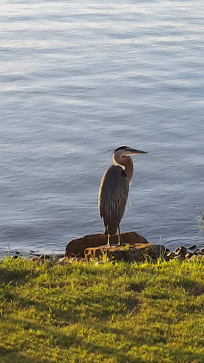 Community Center «Towne Lake», reviews and photos, 18915 San Saba Creek Cir, Cypress, TX 77433, USA