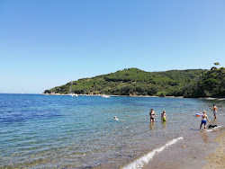Foto von Brass beach mit geräumige bucht