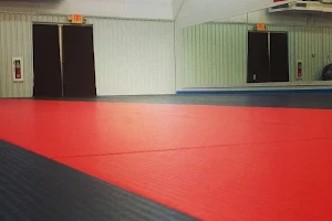 Redline Jiu Jitsu Academy image