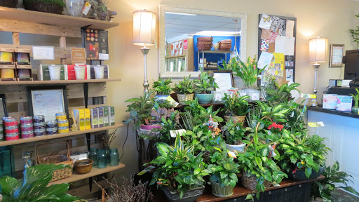 Florist «Forked River Florist», reviews and photos, 349 N Main St, Lanoka Harbor, NJ 08734, USA