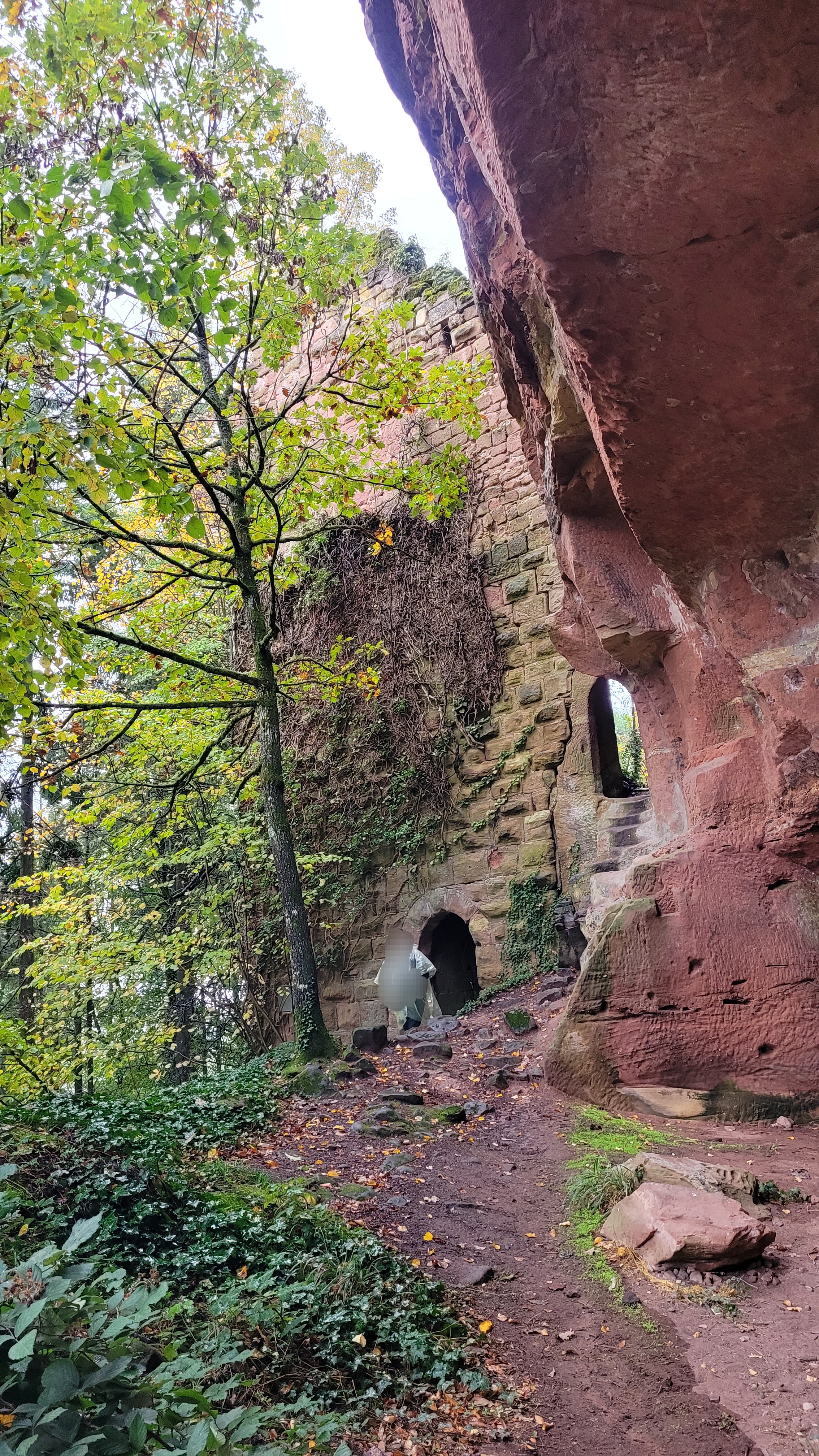 Photo n° 16 de l'avis de Verena.a fait le 31/10/2023 à 09:18