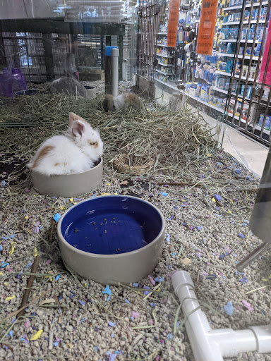 Pet Store «Petland», reviews and photos, 7030 Bandera Rd, San Antonio, TX 78238, USA