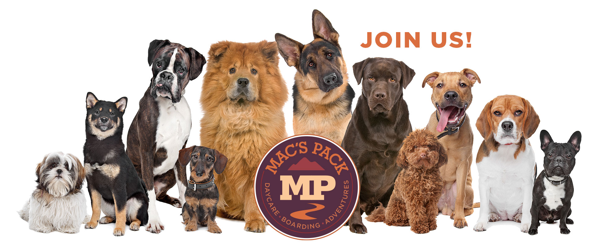 Mac's Pack Dog Services