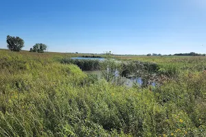 Springbrook Prairie image