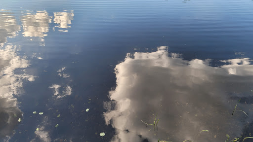 Nature Preserve «Wolf Rock Nature Preserve», reviews and photos, 251 Clover Mill Rd, Storrs, CT 06268, USA