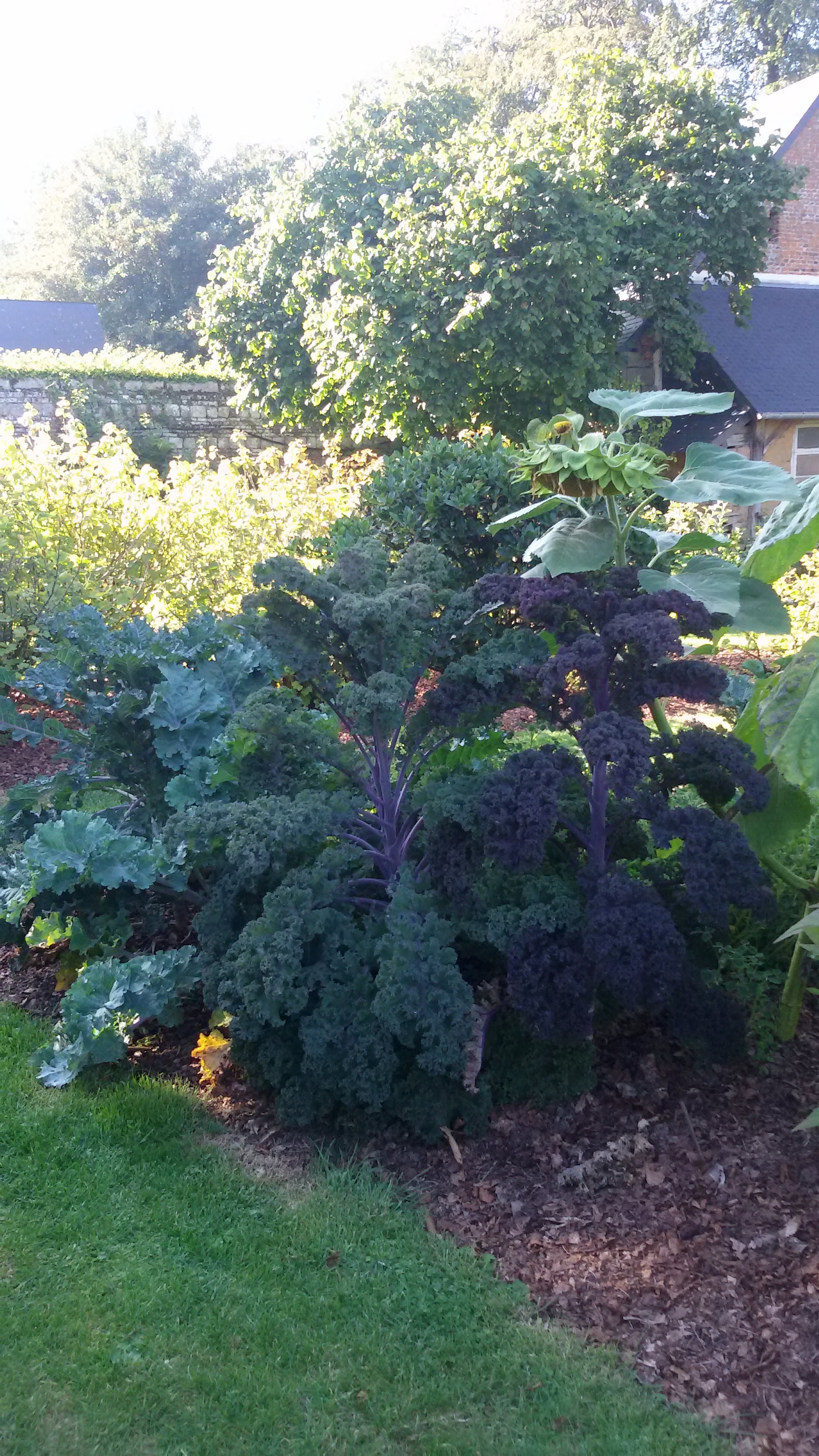 Photo n° 3 de l'avis de Nathalie.u fait le 27/08/2018 à 07:18