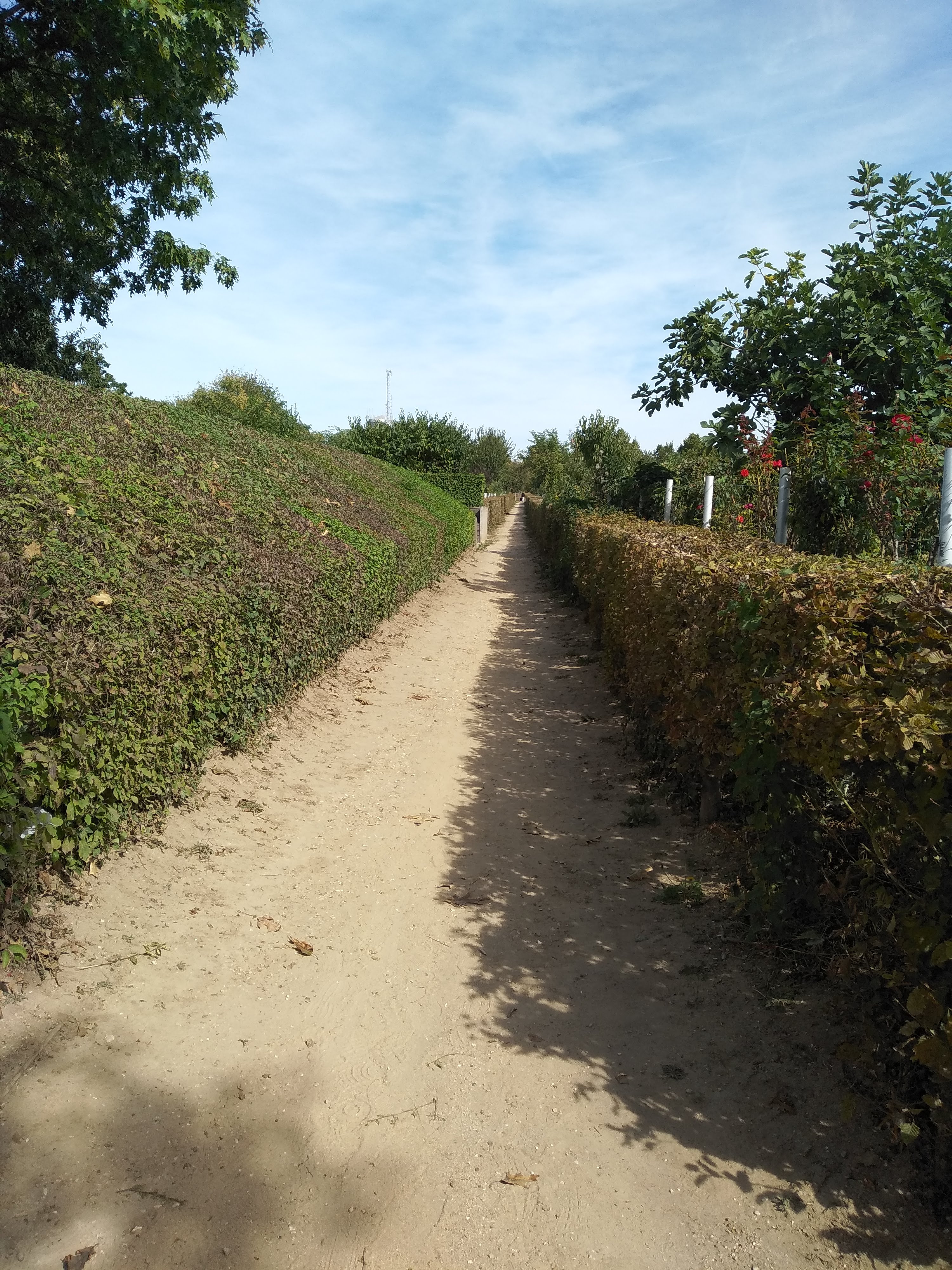 Photo n° 2 de l'avis de nelly.o fait le 16/09/2018 à 12:41