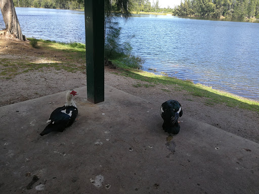 Park «Wolf Lake Park», reviews and photos, 5400 SW 76th Ave, Davie, FL 33314, USA