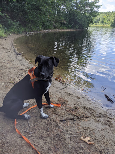 Pet Supply Store «Pet Supplies Plus», reviews and photos, 101 Sutton Ave, Oxford, MA 01540, USA