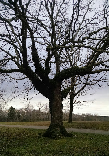 National Park «Shiloh National Military Park», reviews and photos, 1055 Pittsburg Landing Rd, Shiloh, TN 38376, USA