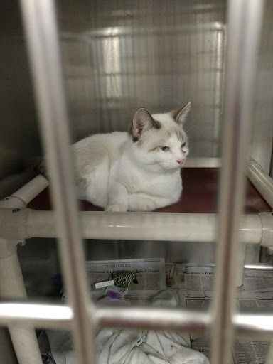 Pet Supply Store «PetSmart», reviews and photos, 2017 N Prospect Ave, Champaign, IL 61822, USA