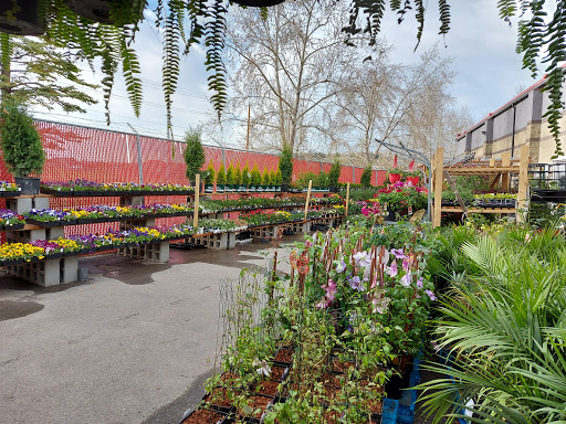 Garden Center Garden Centre At Rona In Calgary Ab Liveway