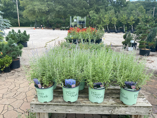 Landscaping Supply Store «Kirkwood Gardens», reviews and photos, 2701 Barrett Station Rd, Ballwin, MO 63021, USA