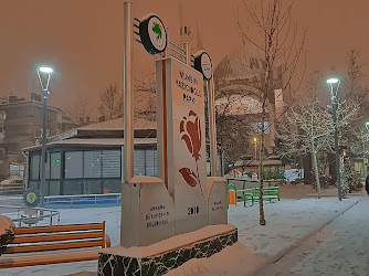 Muhsin Yazicioğlu Parki
