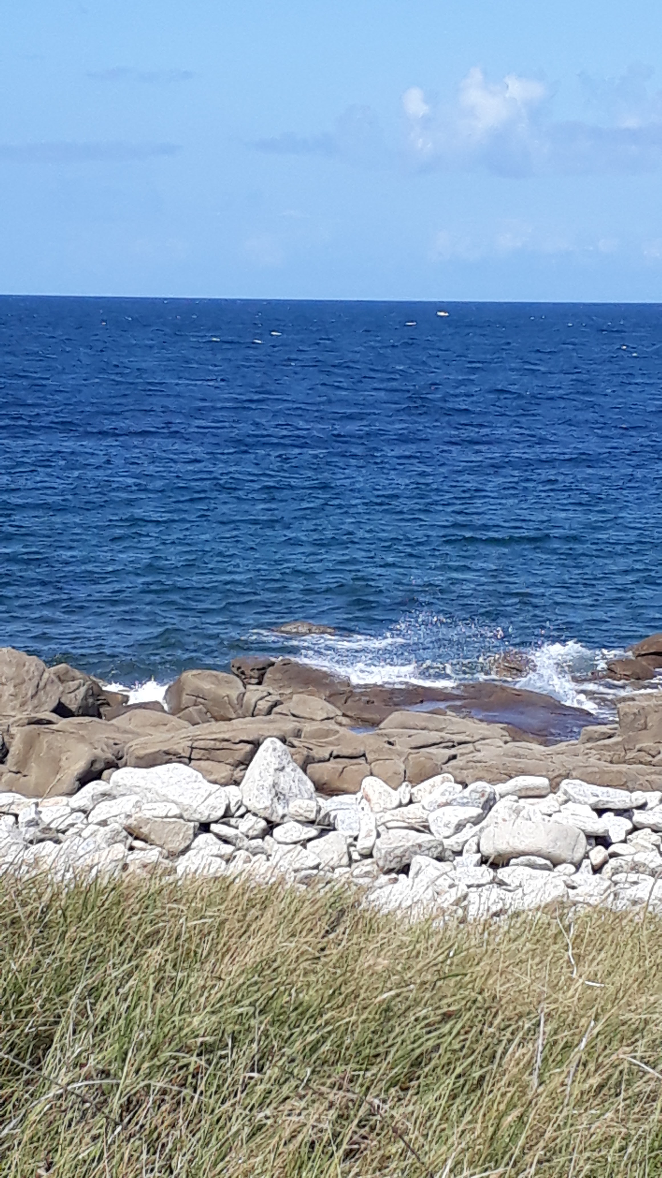 Photo n° 1 de l'avis de daphnée.i fait le 15/09/2019 à 17:45