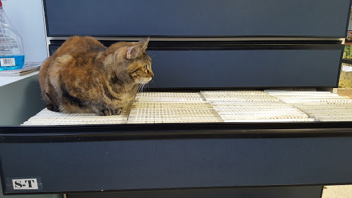 Battery Creek Veterinary Hospital image