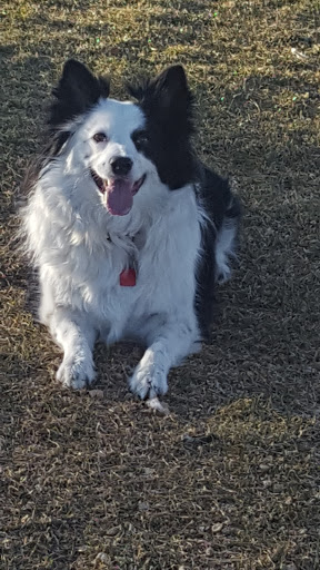 Memorial Park «E.B. Rains Jr. Memorial Park», reviews and photos, 11701 Community Center Dr, Northglenn, CO 80233, USA