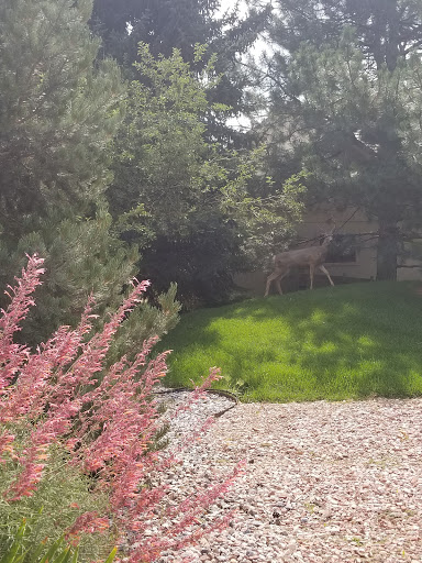 Country Club «Fort Collins Country Club», reviews and photos, 1920 Country Club Road, Fort Collins, CO 80524, USA