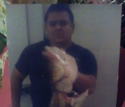 Pescaderia El Pescado Zarandeado photo