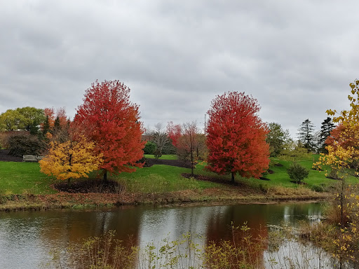 Botanical Garden «Chicago Botanic Garden», reviews and photos, 1000 Lake Cook Rd, Glencoe, IL 60022, USA