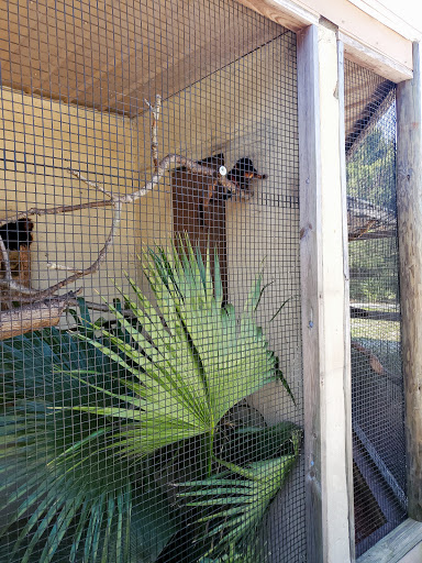 Zoo «Gulf Breeze Zoo», reviews and photos, 5701 Gulf Breeze Pkwy, Gulf Breeze, FL 32563, USA
