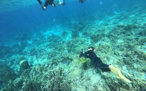 Aruba Bob Snorkel & Scuba image